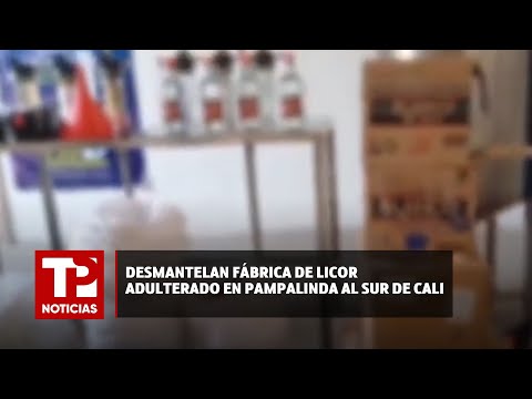 Desmantelan fábrica de licor adulterado en Pampalinda al sur de Cali  |17.04.2024| TP Noticias