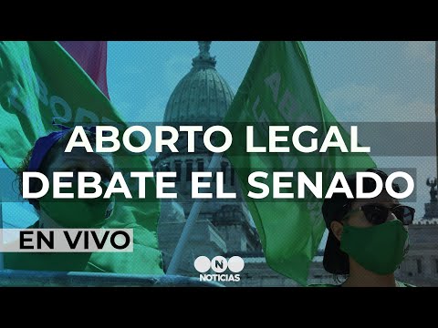 ABORTO LEGAL: el SENADO debate la ley de INTERRUPCIÓN VOLUNTARIA del EMBARAZO