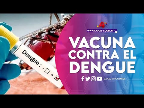 Rusia y Nicaragua crean una vacuna contra el dengue