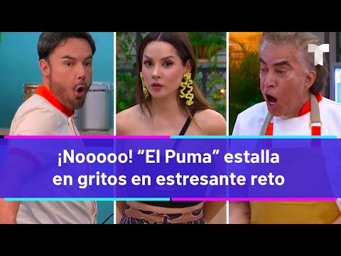 Top Chef VIP | ¡Nooooo! “El Puma” estalla en gritos en estresante reto