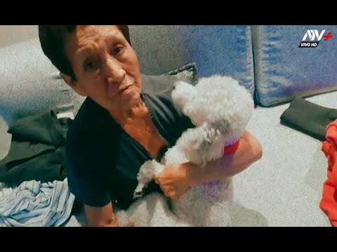 Abuelita busca desesperadamente a su mascota pequeño quien se perdió en Carabayllo