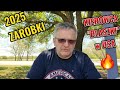 Co tu si dzieje? Kierowca w Ameryce