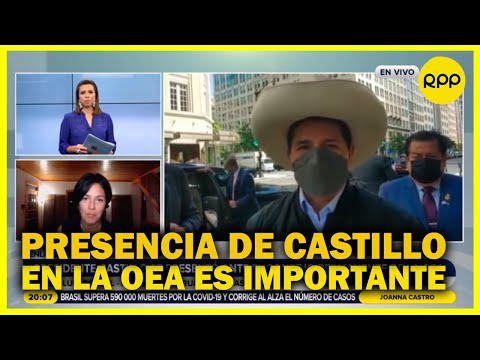 “Llegada del presidente Castillo al poder representó una gran incógnita para distintos analistas”