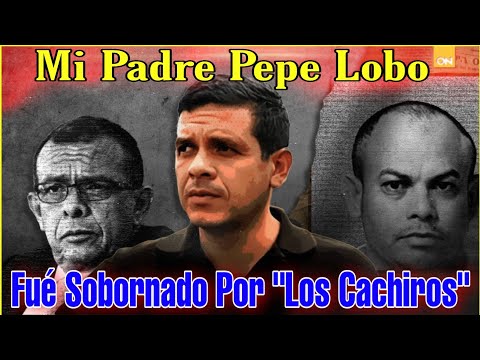Juicio de JOH: Fabio Lobo Salpica a Su Padre Pepe Lobo Reacciona a Sus Declaraciones!