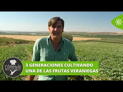 Cómetelo | Cómo tener la certeza de que un melón está dulce