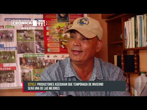 Productores estelianos de granos básicos están listos para ciclo de primera - Nicaragua