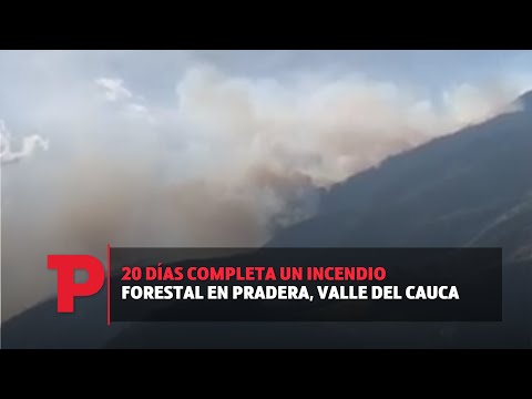 20 días completa un incendio forestal en Pradera, Valle del Cauca |29.09.2023| Telepacífico Noticias