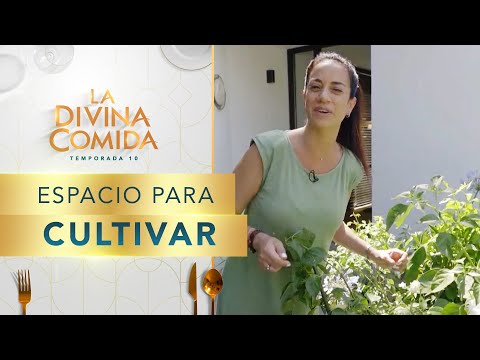 ¡CULTIVA LA TIERRA!: Así es el hogar de Paulina Núñez - La Divina Comida
