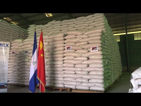 República Popular de China entrega segundo donativo de trigo y urea a Nicaragua