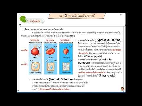 วิทยาศาสตร์ม.1-2567-หน่วยที