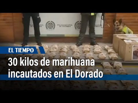 Camuflaban 30 kilogramos de marihuana en fruta deshidratada. | El Tiempo