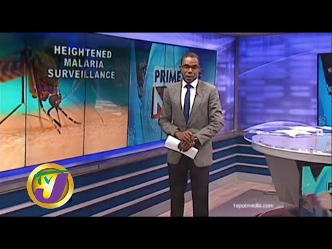 TVJ News: Gov't Heightened Malaria Surveillance - January 3 2020