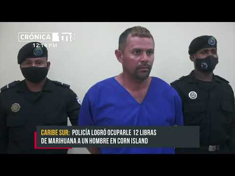 Policía Nacional captura a sujeto con marihuana en Bluefields - Nicaragua