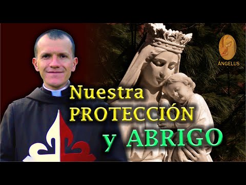 Nuestra PROTECCIÓN y ABRIGO | P. Israel Pedroza EP - ÁNGELUS (14-sep-22)