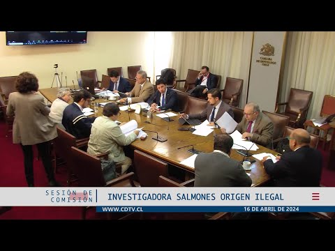 Comisión Investigadora Salmones origen ilegal / 16 abril 2024