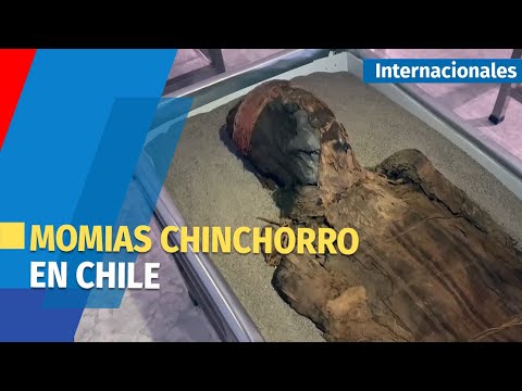 Momias chinchorro, las más antiguas del mundo, buscan nuevo hogar en Chile