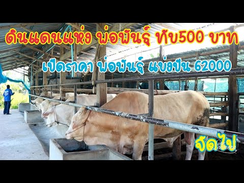 0882753679-เปิดsาคาหน้าคอก-620 0882753679-เปิดsาคาหน้าคอก-620