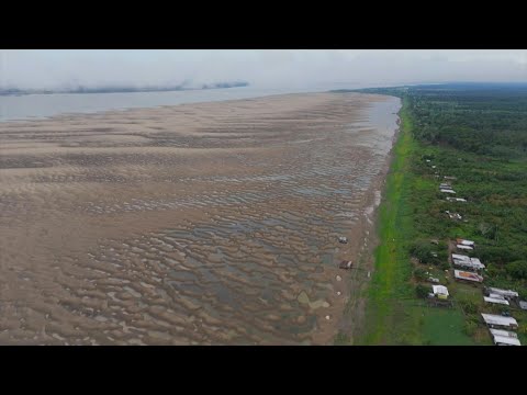 Situación crítica en afluentes del río Amazonas por sequía en Brasil | AFP