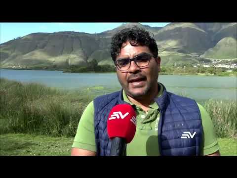 Laguna de Yahuarcocha pasa por grave problema de contaminación | Televistazo | Ecuavisa