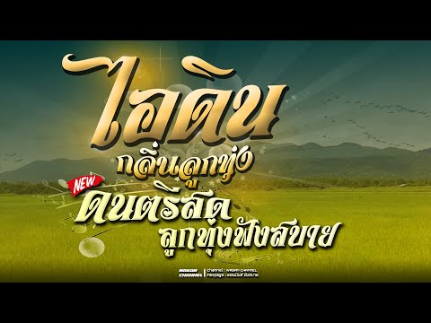 💥ใหม่ฮิต|ดนตรีสดเพลงเพราะไอ