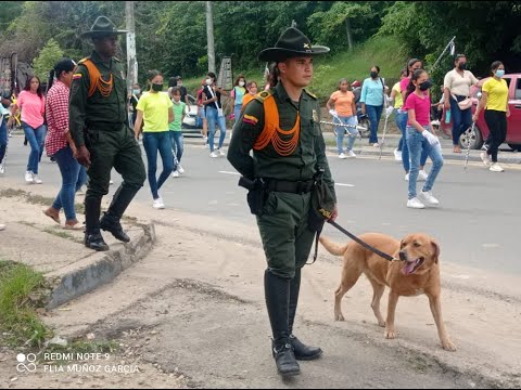 ¡Pilas con Mantra! La perra del Grupo de Carabineros que olfatea dineros en las vías de Bolívar