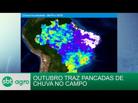 SBT Agro 07/10/2024: Outubro começa com pancadas de chuva por todo o Brasil