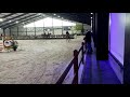 Springpaard mooie, talentvolle 11 jarige springmerrie