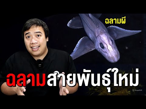 สัตว์สายพันธุ์ใหม่ที่เพิ่งเกิ