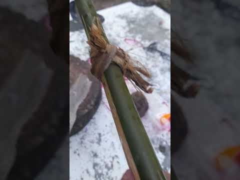 กินแบบลดโลกร้อน