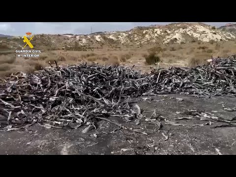 Desmantelado un grupo delictivo que sustraía cableado de cobre en Murcia, Alicante y Albacete
