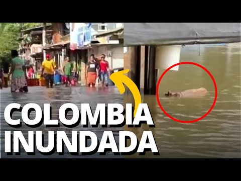 INUNDACIONES EN COLOMBIA: Más de 40 mil personas LO PERDIERON TODO