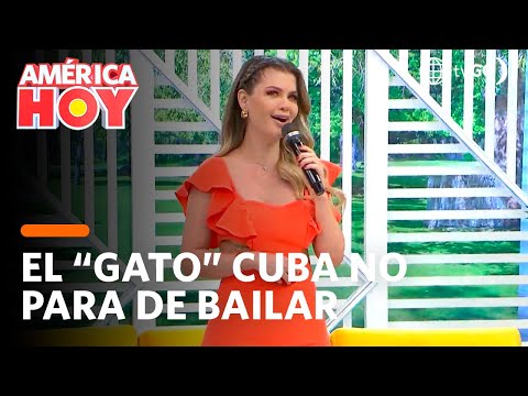 América Hoy: El Gato Cuba no para de bailar (HOY)