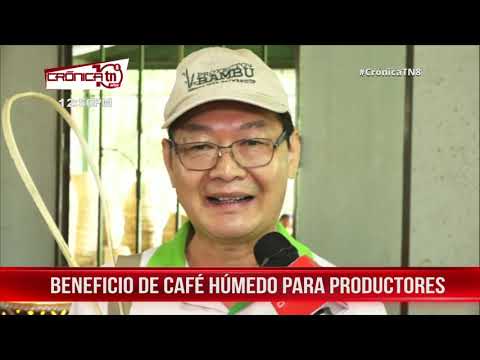 Fortalecen capacidades de cooperativas de café en San Juan de Río Coco - Nicaragua