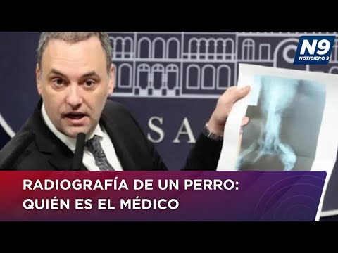 RADIOGRAFÍA DE UN PERRO: QUIÉN ES EL MÉDICO - NOTICIERO 9