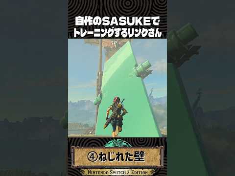 自作のSASUKEでトレーニングするリンクさん【ゼルダの伝説 ティアキン】
