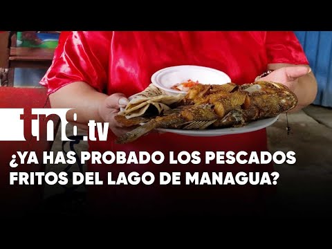 Los pescados fritos del lago de Managua que cocina Doña Norma en Mateare - Nicaragua