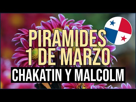Pirámide Lotería de Panamá Viernes 1 de Marzo 2024 - Pirámide de Chakatin y Malcolm Ramos