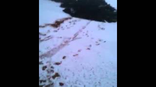 فيديو:التزلج على الثلوج بمحافظة طريف