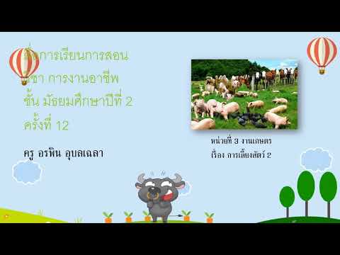 สื่อการเรียนการสอนวิชาการงานอ