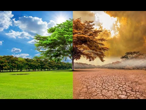 Cambio climático: Conozca las consecuencias y cómo se puede mitigar