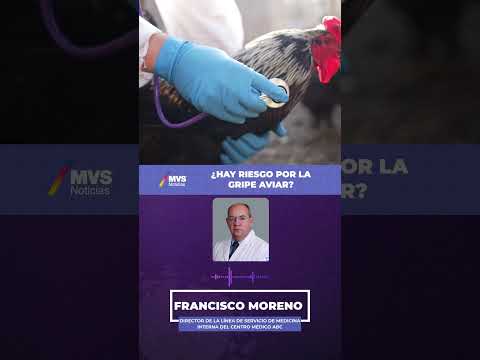 ¿Hay riesgo por la gripe aviar? #mvsnoticias #influenza