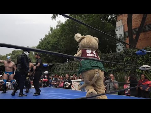 Este es Wisin, el perrito luchador de México que se ha vuelto en fenómeno viral