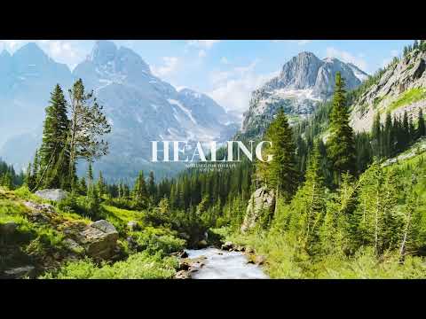 HealingDay🌲soundofnaturew