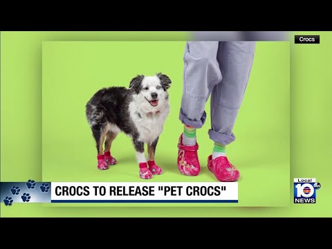 Crocs introduces matching pet fashion