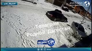 خيل يحطم سيارة بوحشية