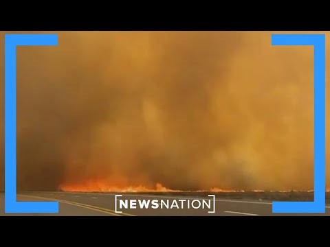 Texas battling largest wildfire in state history | NewsNation Now