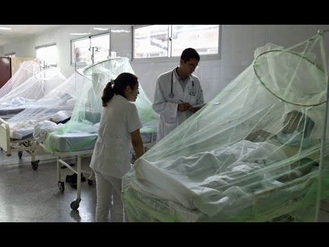 Minsa: Casos de dengue aumentaron 41% respecto al 2023