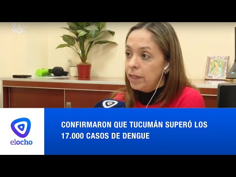 TUCUMÁN SUPERÓ LOS 17.000 CASOS DE DENGUE