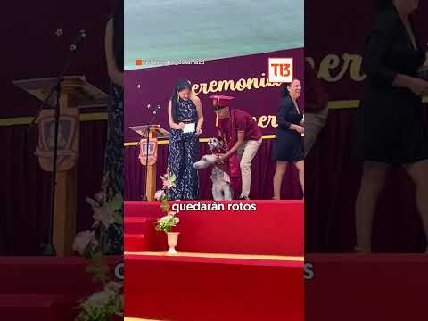 ¡Sacó diploma!: perrita se graduó de cuarto medio en Antofagasta