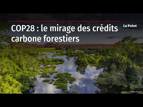 COP28 : le mirage des crédits carbone forestiers